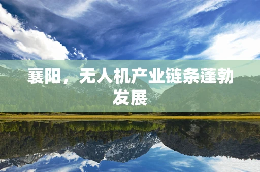 襄阳，无人机产业链条蓬勃发展