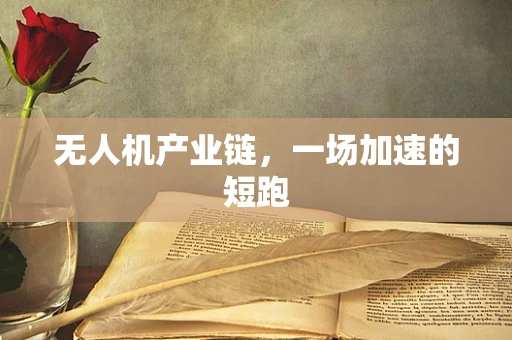 无人机产业链，一场加速的短跑