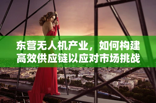 东营无人机产业，如何构建高效供应链以应对市场挑战？