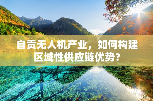 自贡无人机产业，如何构建区域性供应链优势？