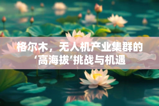 格尔木，无人机产业集群的‘高海拔’挑战与机遇