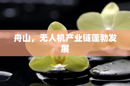 舟山，无人机产业链蓬勃发展
