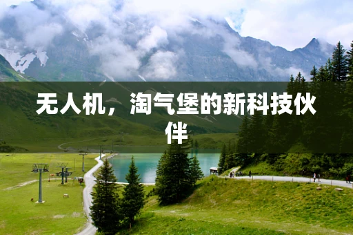 无人机，淘气堡的新科技伙伴