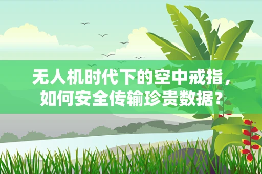 无人机时代下的空中戒指，如何安全传输珍贵数据？