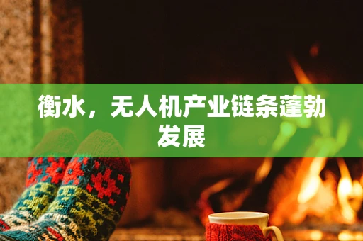 衡水，无人机产业链条蓬勃发展