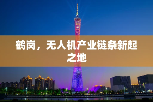 鹤岗，无人机产业链条新起之地