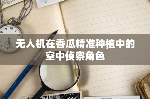 无人机在香瓜精准种植中的空中侦察角色