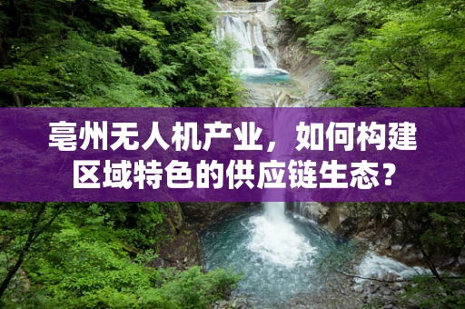 亳州无人机产业，如何构建区域特色的供应链生态？
