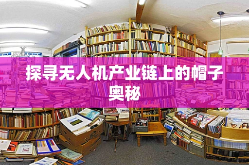 探寻无人机产业链上的帽子奥秘