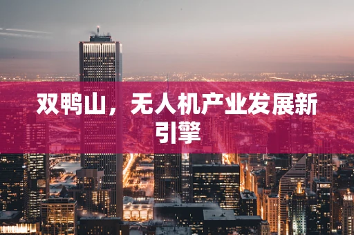 双鸭山，无人机产业发展新引擎