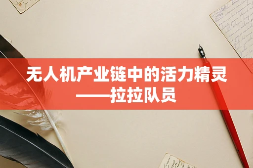 无人机产业链中的活力精灵——拉拉队员