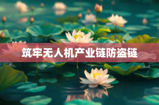 筑牢无人机产业链防盗链