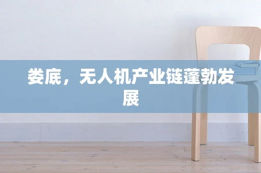 娄底，无人机产业链蓬勃发展