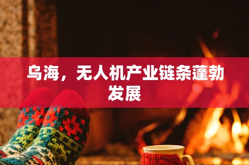 乌海，无人机产业链条蓬勃发展