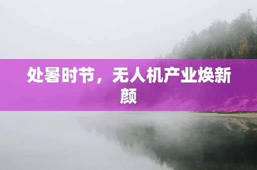 处暑时节，无人机产业焕新颜