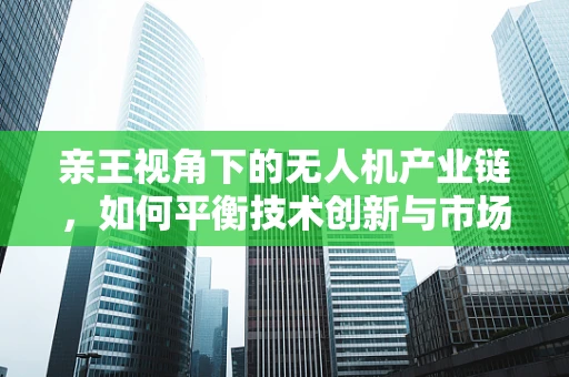 亲王视角下的无人机产业链，如何平衡技术创新与市场亲民？