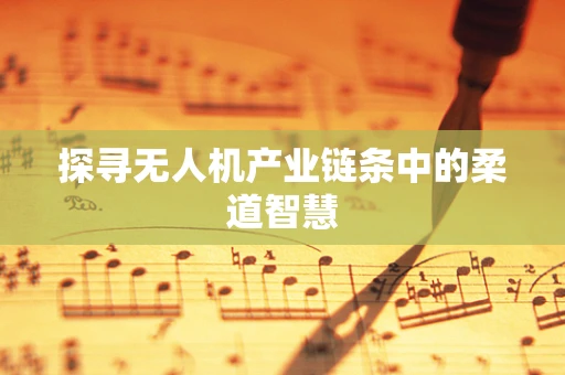 探寻无人机产业链条中的柔道智慧