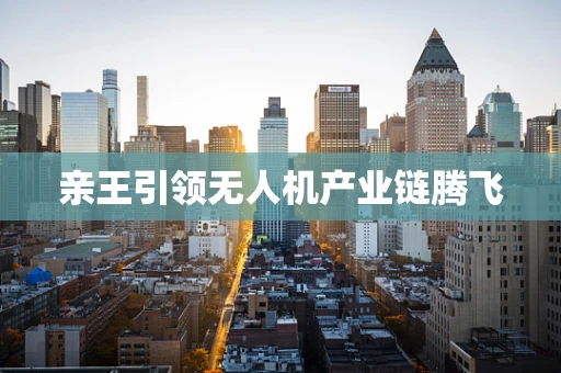 亲王引领无人机产业链腾飞