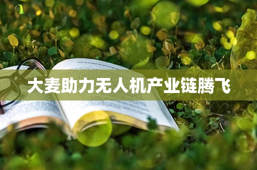 大麦助力无人机产业链腾飞