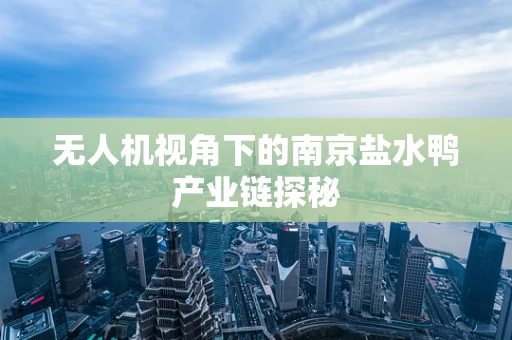 无人机视角下的南京盐水鸭产业链探秘