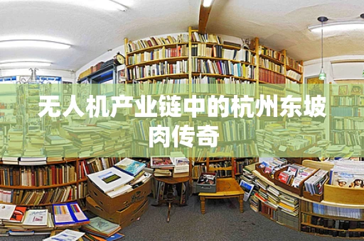 无人机产业链中的杭州东坡肉传奇