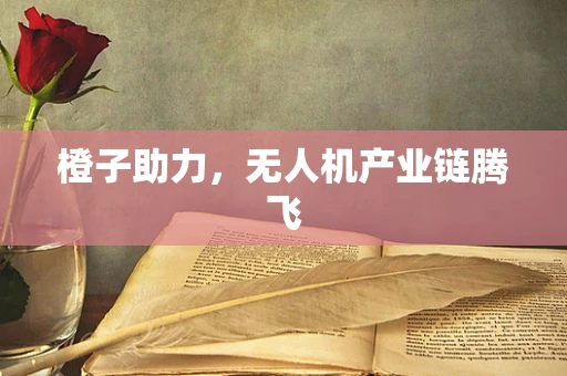橙子助力，无人机产业链腾飞