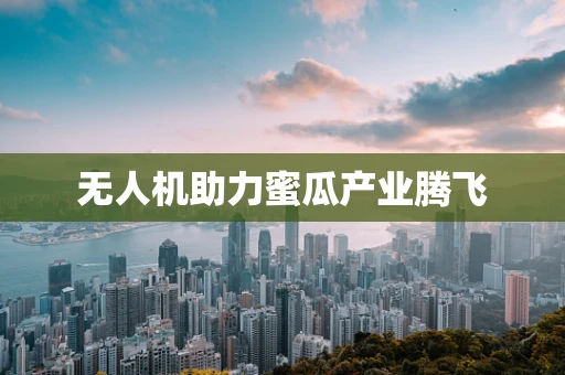 无人机助力蜜瓜产业腾飞