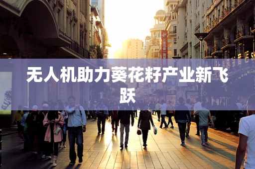无人机助力葵花籽产业新飞跃