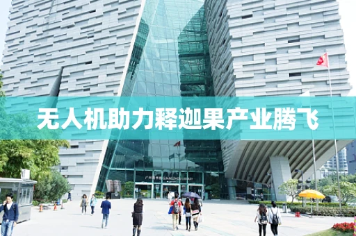 无人机助力释迦果产业腾飞