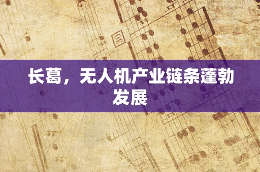 长葛，无人机产业链条蓬勃发展