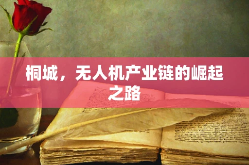 桐城，无人机产业链的崛起之路