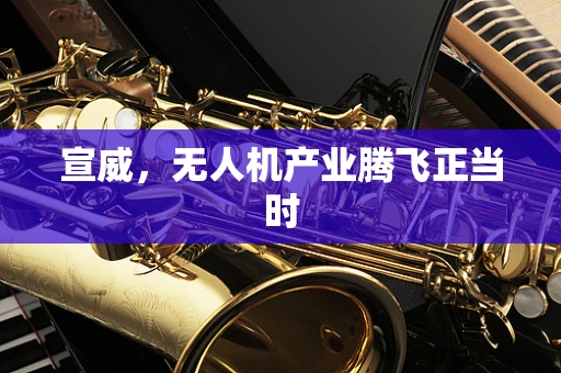 宣威，无人机产业腾飞正当时