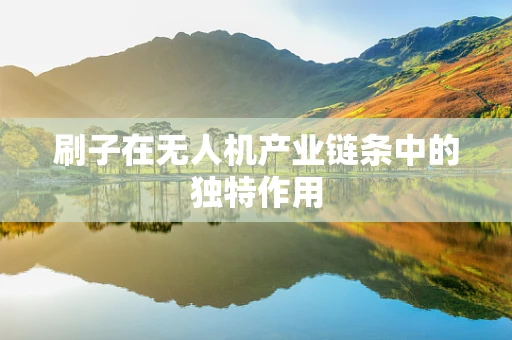 刷子在无人机产业链条中的独特作用