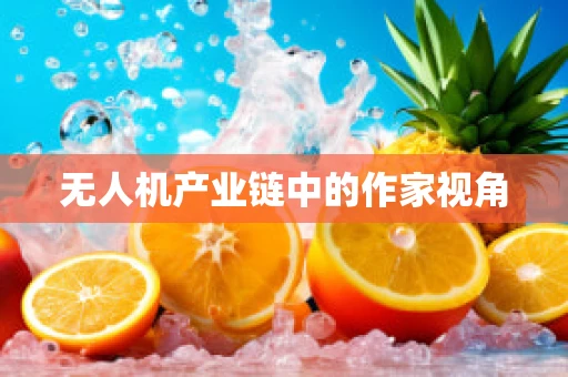 无人机产业链中的作家视角