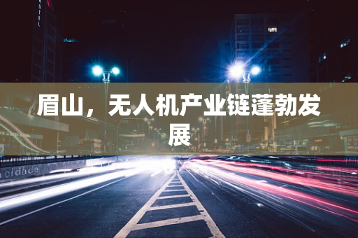 眉山，无人机产业链蓬勃发展