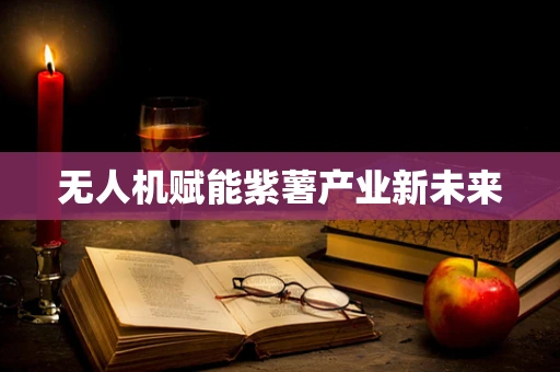 无人机赋能紫薯产业新未来