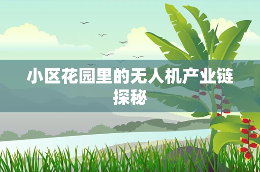 小区花园里的无人机产业链探秘