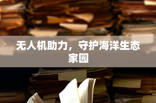 无人机助力，守护海洋生态家园