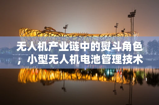 无人机产业链中的熨斗角色，小型无人机电池管理技术新挑战？