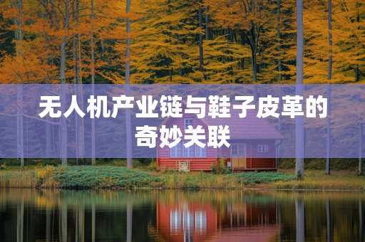 无人机产业链与鞋子皮革的奇妙关联