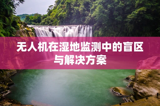 无人机在湿地监测中的盲区与解决方案