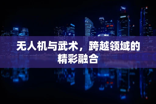 无人机与武术，跨越领域的精彩融合