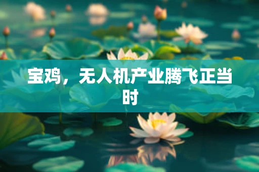 宝鸡，无人机产业腾飞正当时