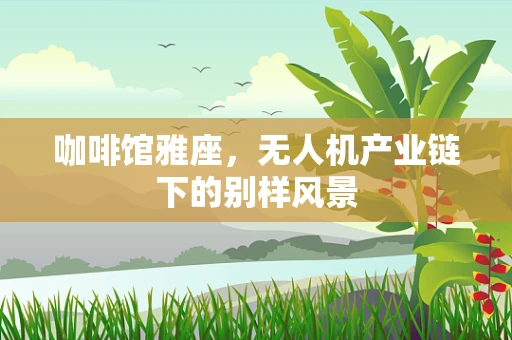 咖啡馆雅座，无人机产业链下的别样风景