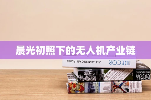 晨光初照下的无人机产业链