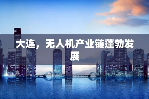 大连，无人机产业链蓬勃发展