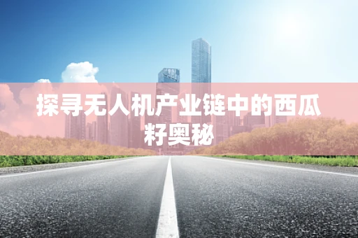 探寻无人机产业链中的西瓜籽奥秘