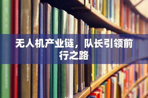 无人机产业链，队长引领前行之路