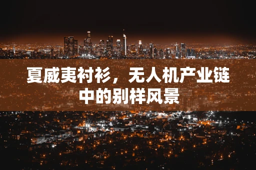夏威夷衬衫，无人机产业链中的别样风景