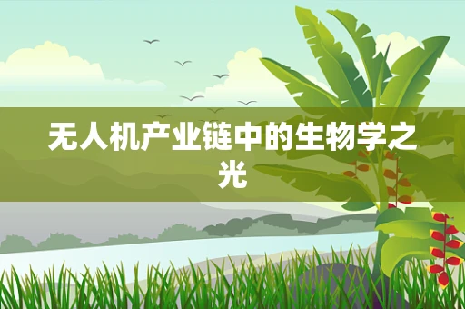 无人机产业链中的生物学之光